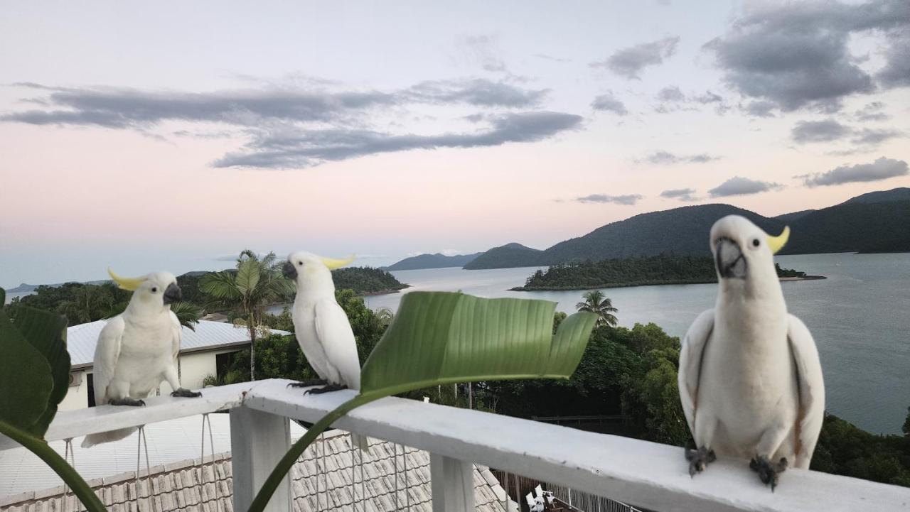 The Haven View - Airlie Beach Luaran gambar