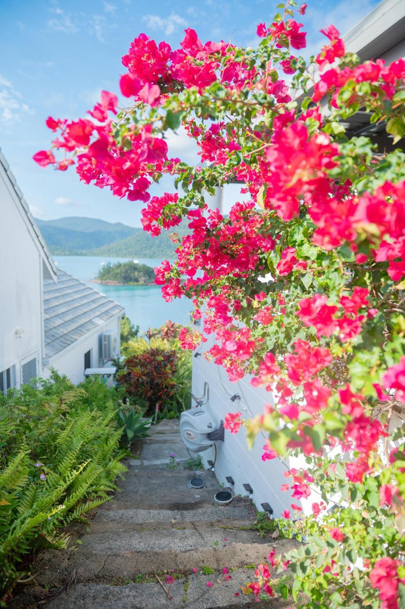 The Haven View - Airlie Beach Luaran gambar